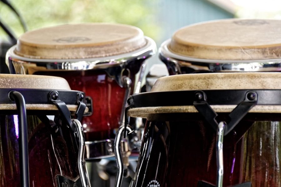 Bongo drums