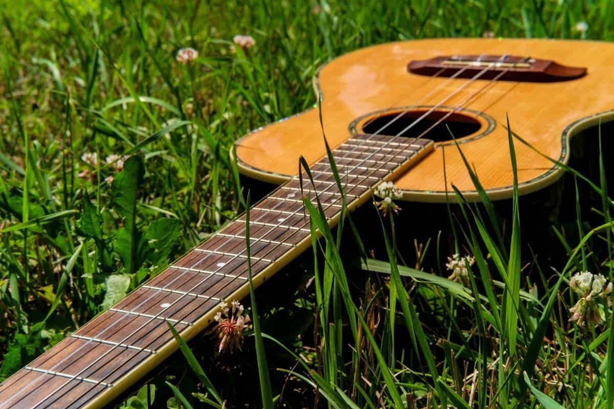 baritone ukulele in grass
