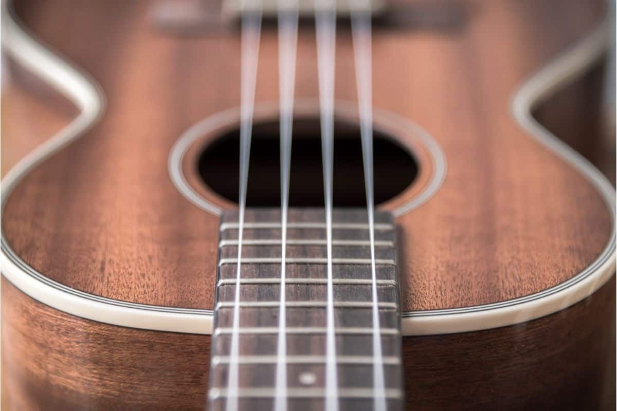tenor ukulele closeup