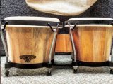 How to Play the Bongo Drums: Tips for Beginners