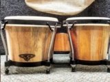 How to Play the Bongo Drums? – Tips for Beginners